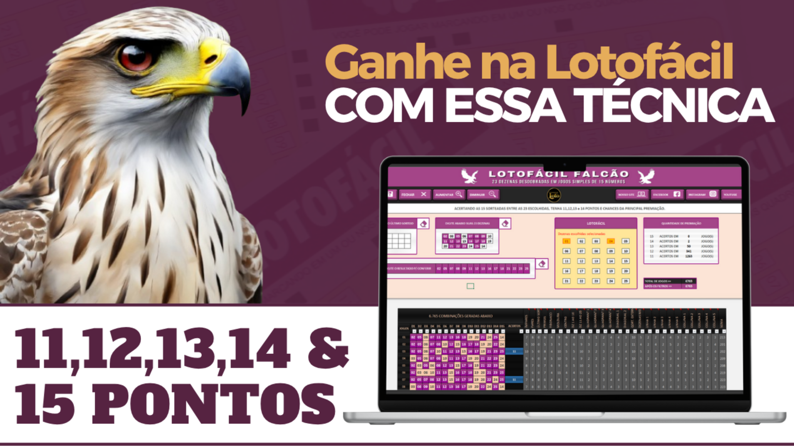 Metodologia Falcão