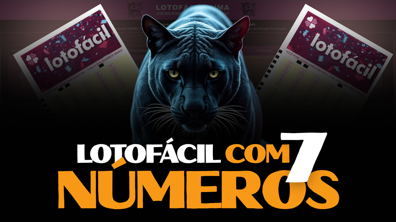 Metodologia Puma